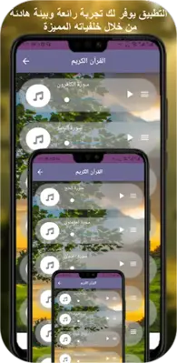 مصطفى اسماعيل قران كامل بدونت android App screenshot 6